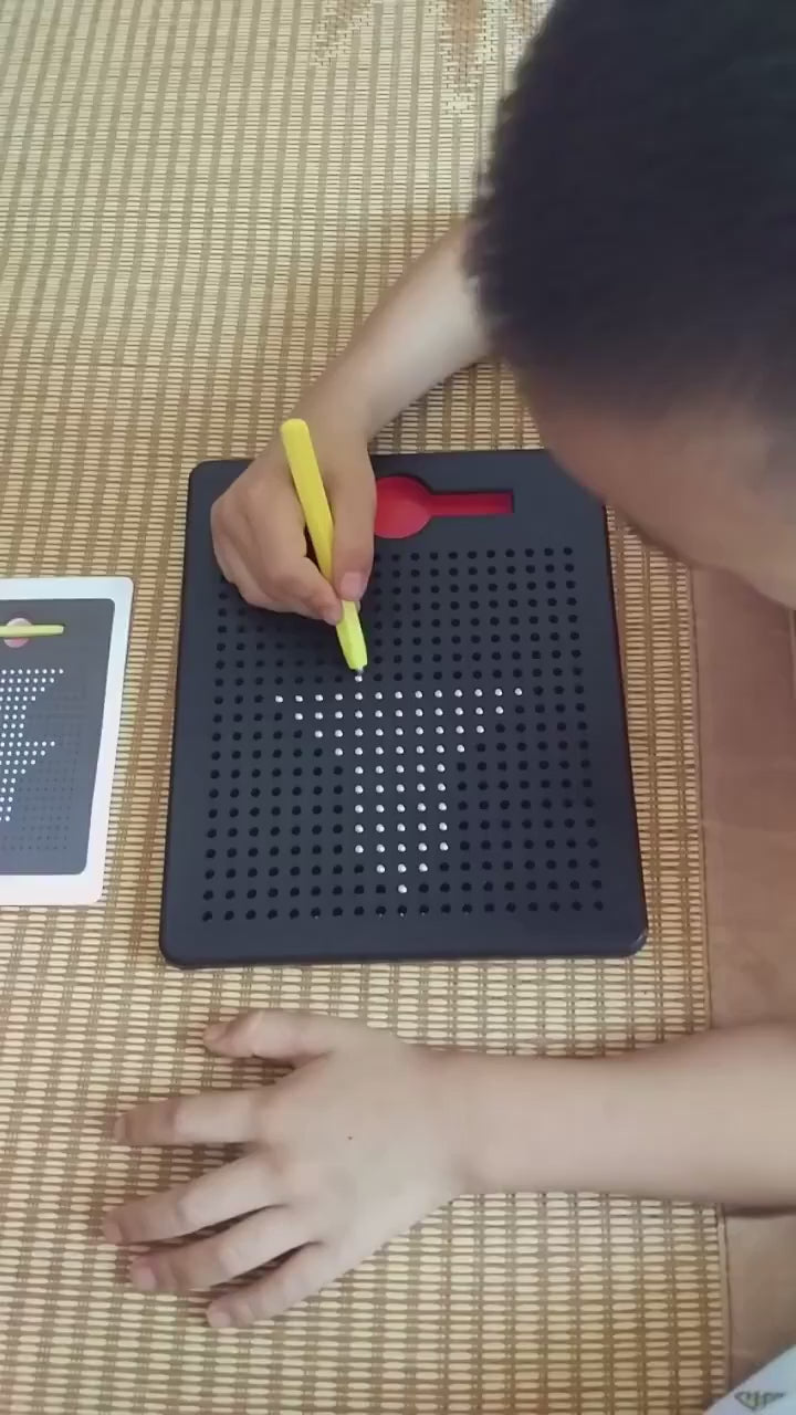 Magnetic Scribble & Drawing Board with Magnetic Drawing Pen for Kids